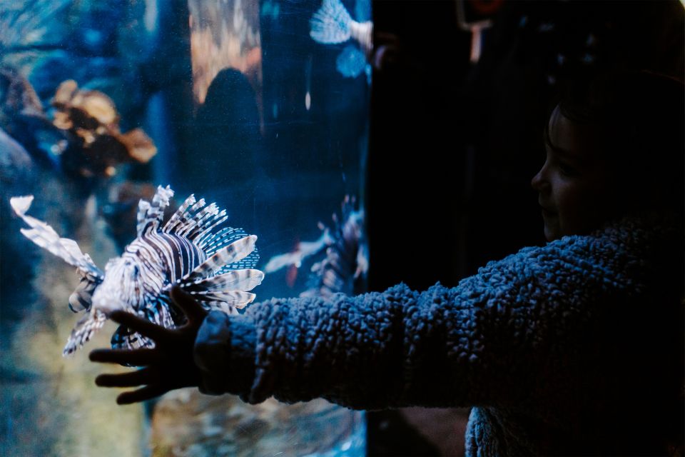 Sea Life Weymouth Admission Ticket - Cancellation Policy and Duration