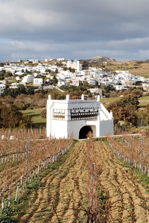 Tinos: Winery Tour and Wine Tasting Paired With Snacks - Reservations