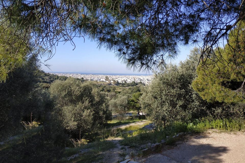 Athens Walking Tour With a Local + Optional Acropolis Ticket - Live Tour Guide