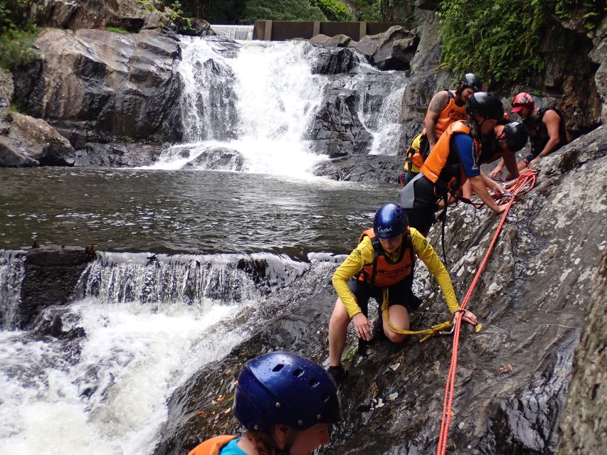 Cairns: Waterfalls Tour Full Day - Advanced - Testimonial and Recommendations