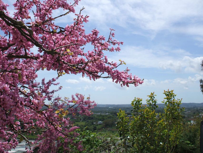 Cisternino: 2-Hour Authentic Italian Village Tour - Directions