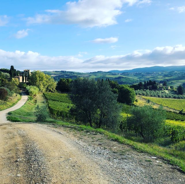 Florence: Tuscany & Chianti Classico Wine & Hike With Lunch - Customer Reviews