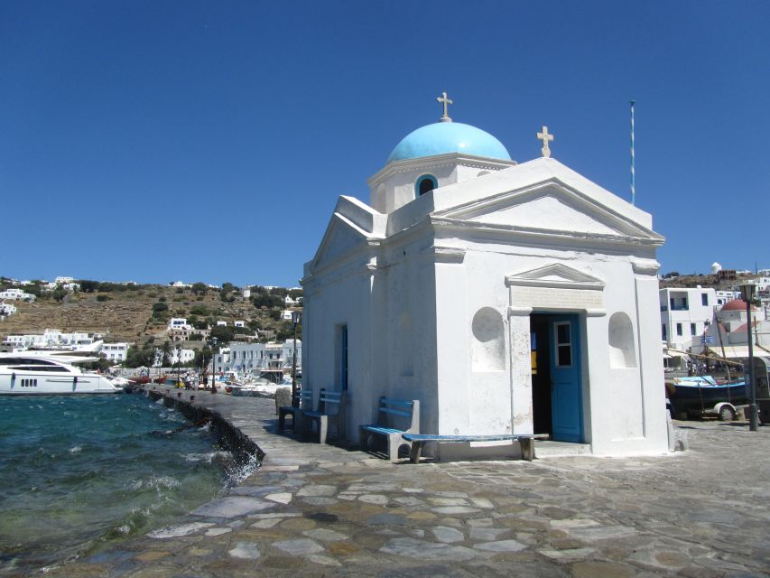 From Naxos: Delos and Mykonos Full-Day Boat Trip - Important Information