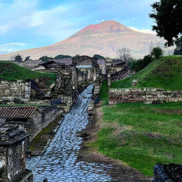 From Positano: Pompeii and Vesuvius Guided Tour - Customer Reviews