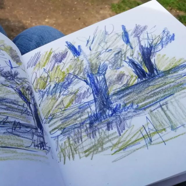 Maidstone: Mote Park Nature Walk and Drawing Workshop - Logistics