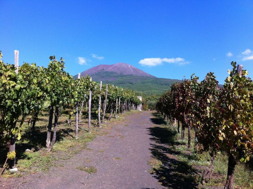 Pompeii and Mount Vesuvius Wine Tasting Private Tour - Booking Information