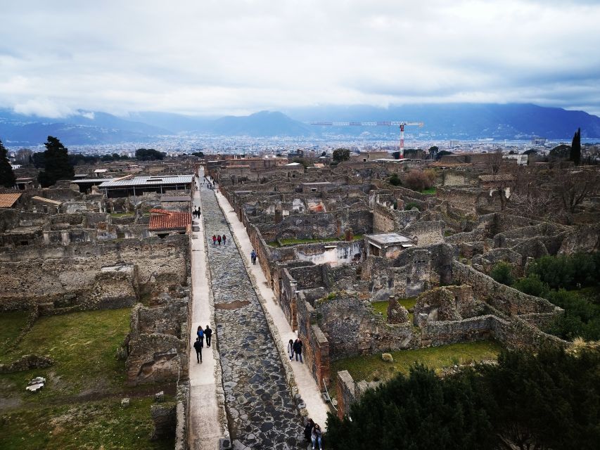 Pompeii: Private Tour With Local Guide Michele Arpa - Accessibility Information