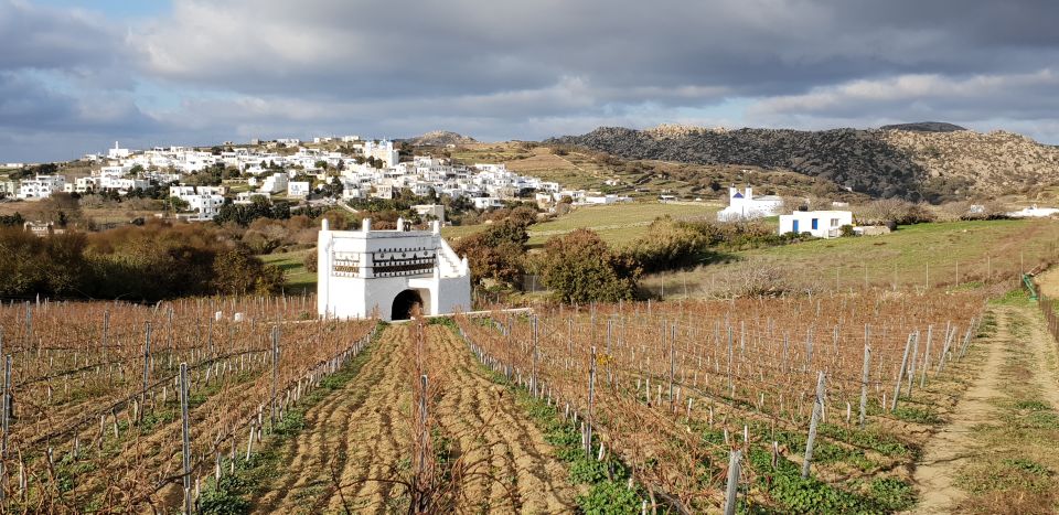 Tinos: Winery Tour and Wine Tasting Paired With Snacks - Customer Reviews