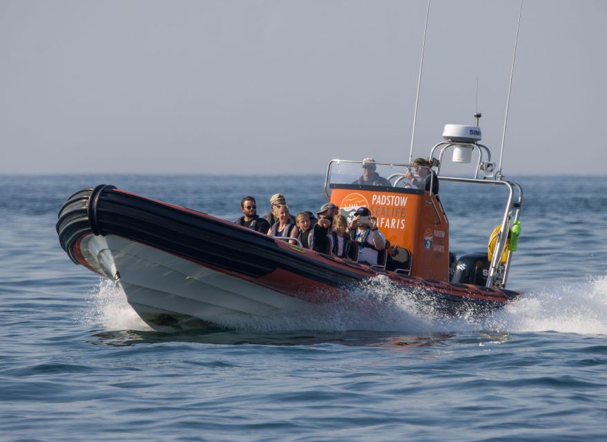 1 Hour Seal Safari - Directions