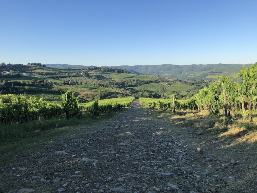 Florence: Tuscany & Chianti Classico Wine & Hike With Lunch - Directions