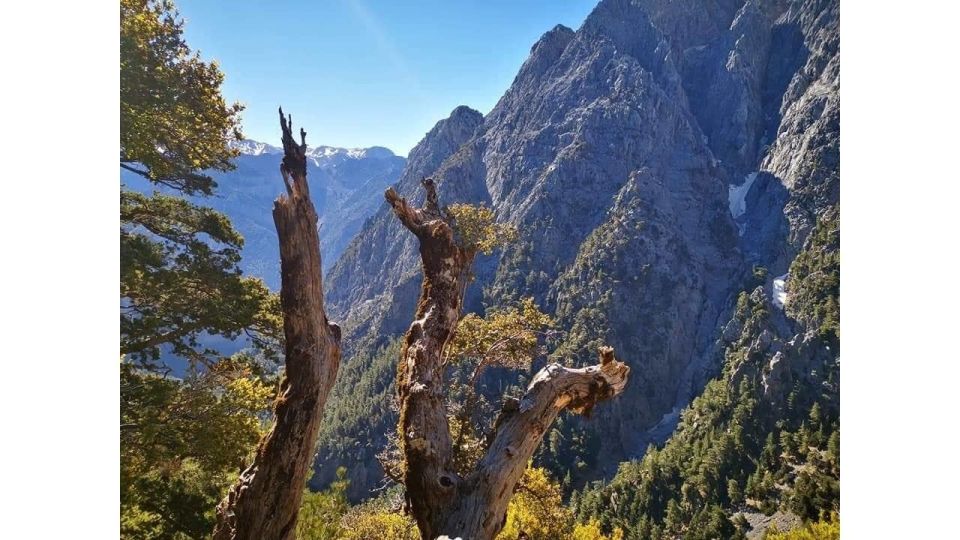 From Georgioupolis: Roundtrip Transfer to Samaria Gorge - Recommendations for the Hike