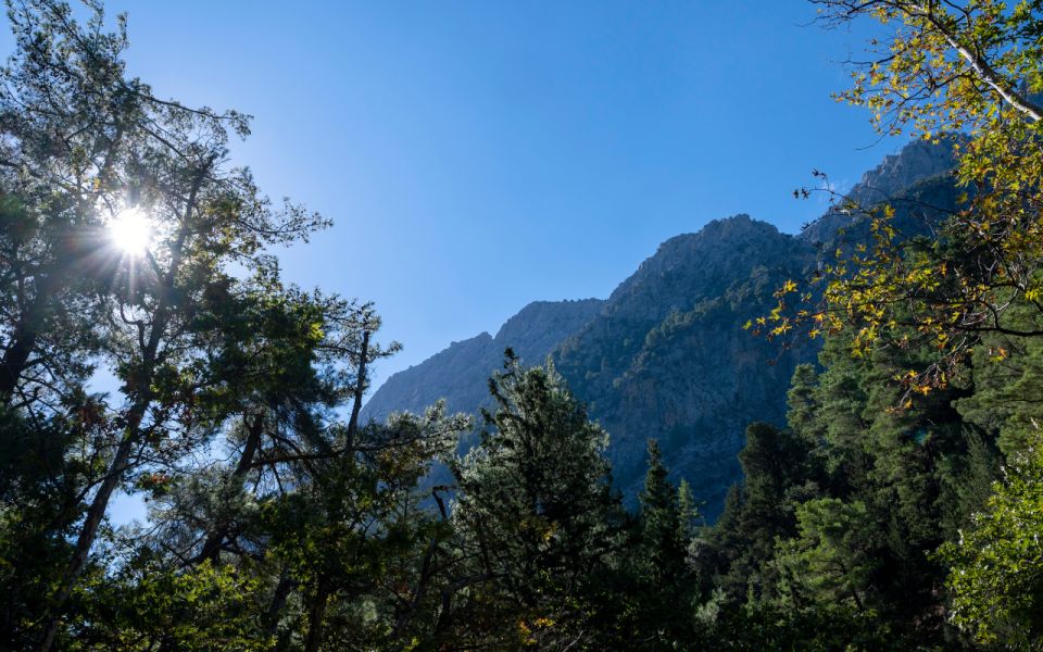 From Heraklion: Majestic Guided Hike Through Samaria Gorge - Customer Reviews