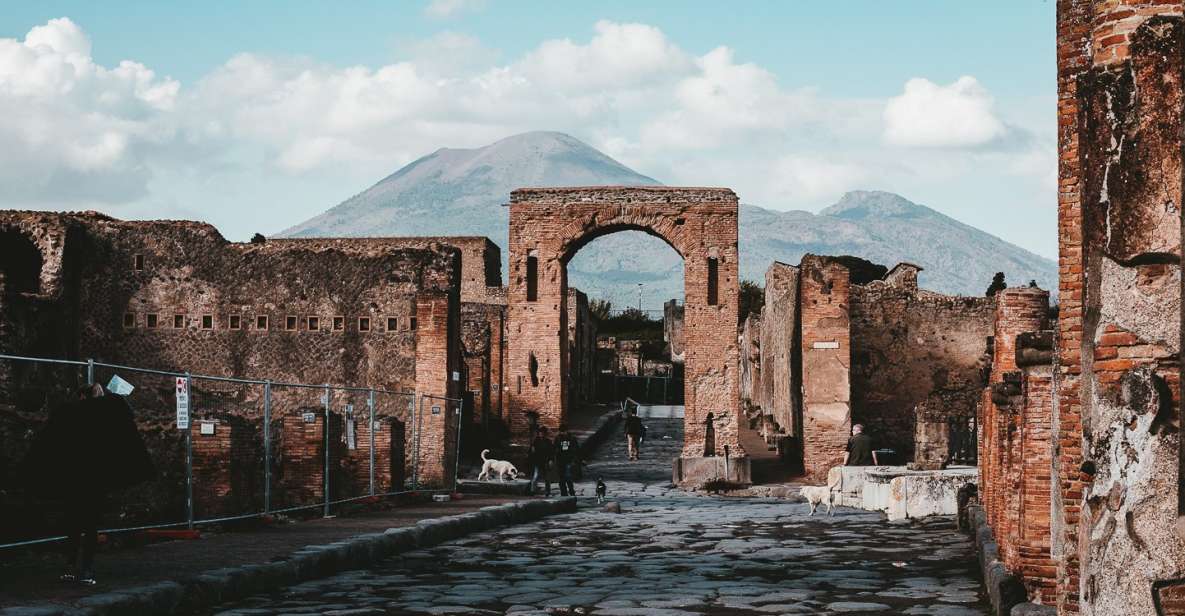 From Naples: Pompeii and Herculaneum Tour With Lunch - Customer Reviews