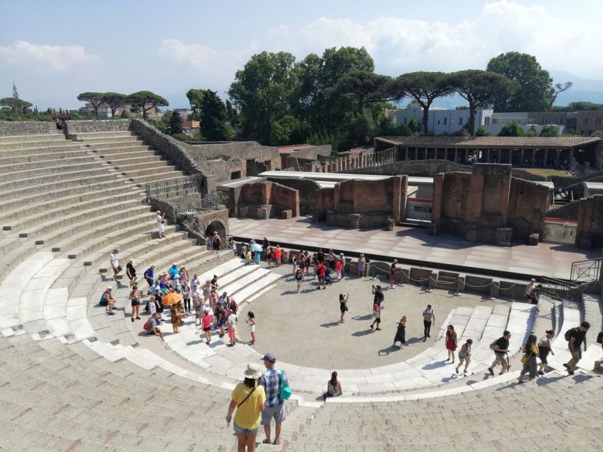 Pompeii: Private Tour With Local Guide Michele Arpa - Highlights of the Tour