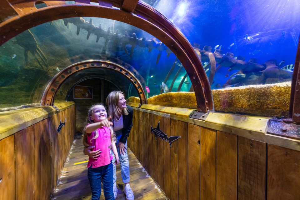 Sea Life Hunstanton - Customer Reviews and Ratings