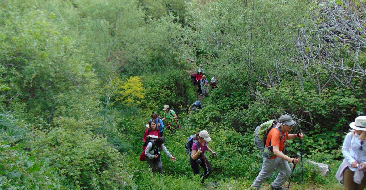 Tinos: Tarampados to Komi Guided Hiking Tour - Inclusions