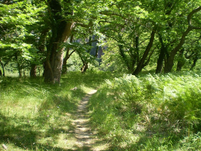 Vikos Gorge Aristi to Klidonia Bridge 3-Hour Hike - Directions