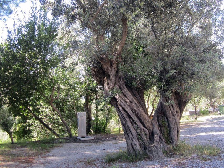 Epidaurus: Audioguide, Theater and the Site of Asklipios - Important Visitor Information