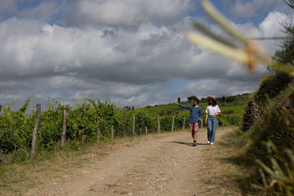 Florence: Tuscany & Chianti Classico Wine & Hike With Lunch - Price and Duration