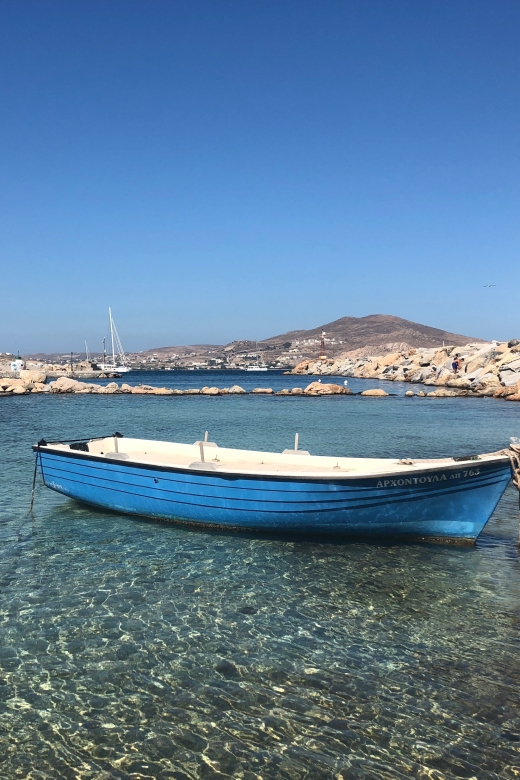 From Paros: Mykonos Full-Day Trip by Catamaran - Customer Review