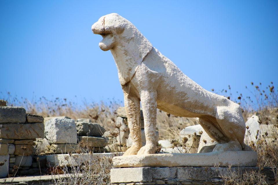 From the Cruise Ship Port: The Original Delos Guided Tour - Customer Reviews