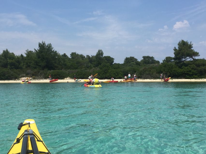 Half Day Sea Kayak Trip - Features and Experience