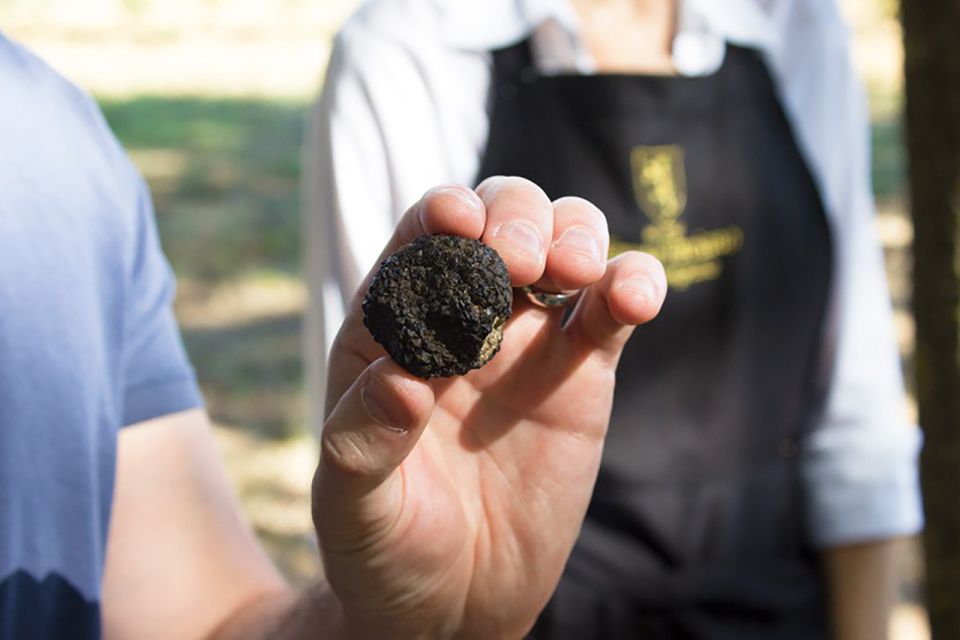 San Gimignano: Truffle Hunting With Lunch & Wine Tasting - Location and Directions