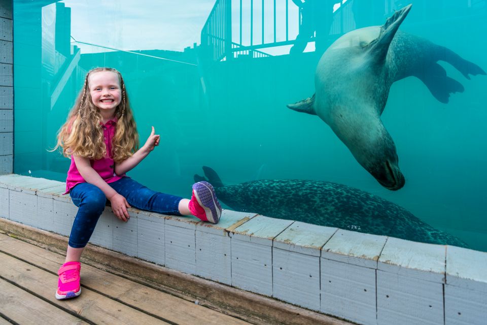 Sea Life Hunstanton - Common questions