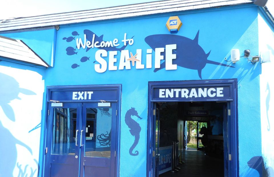 Sea Life Weymouth Admission Ticket - Common questions