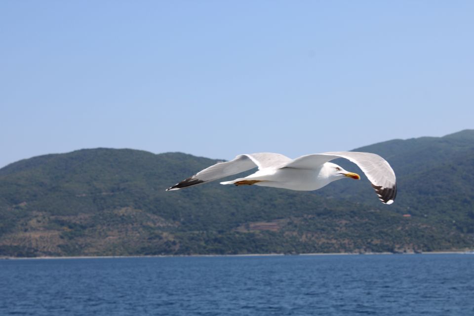 Thessaloniki: Transportation Mt.Athos & Ammouliani Cruise - Directions