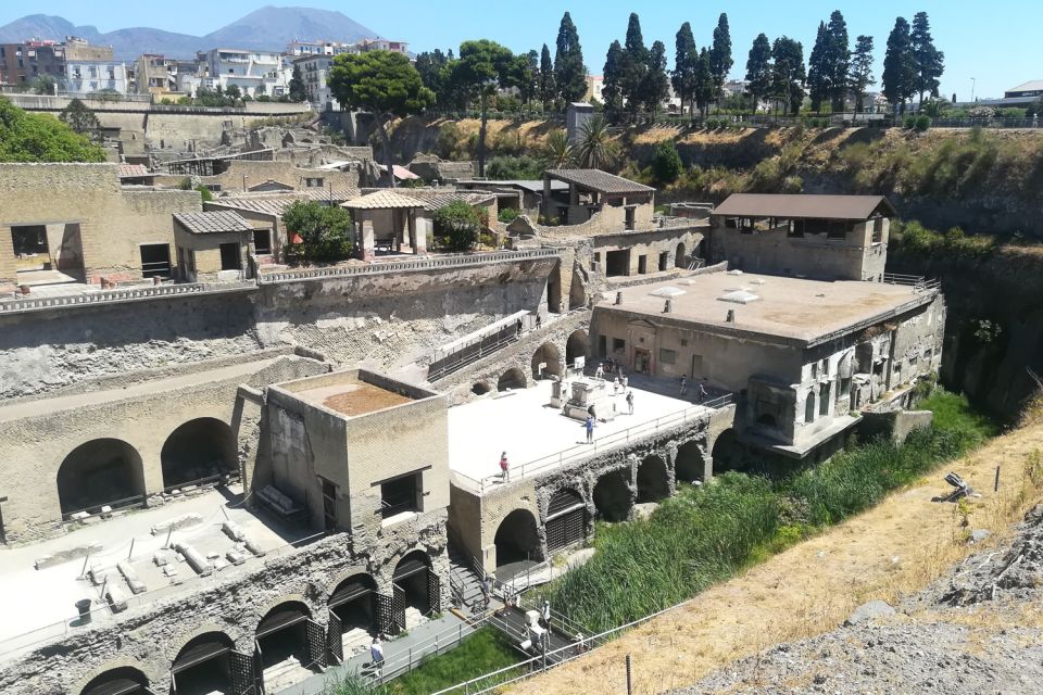 From Naples: Pompeii and Herculaneum Tour With Lunch - Booking Information