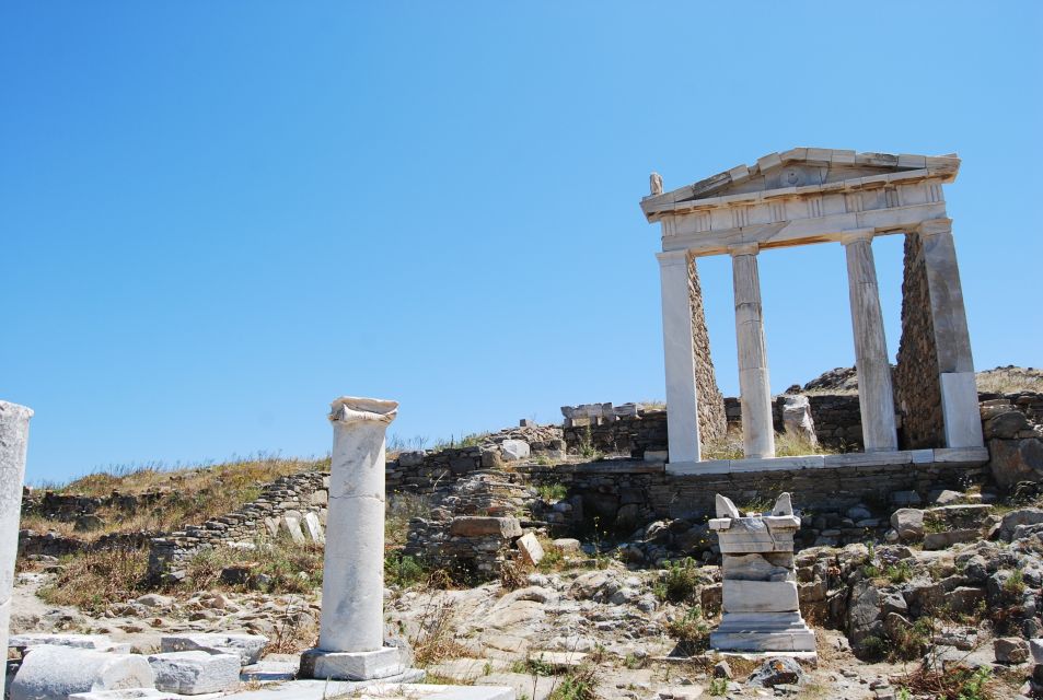 From Naxos: Delos and Mykonos Full-Day Boat Trip - Recommendations