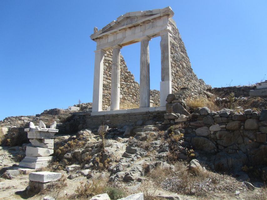 From Paros: Delos and Mykonos Full-Day Boat Trip - Traveler Experience