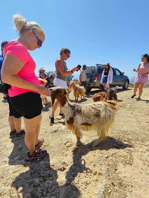 Malia: Lasithi Plateau Zeus Cave Guided Tour - Customer Reviews