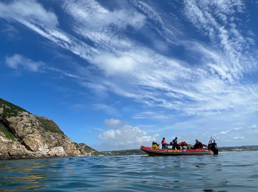 Plettenberg Bay: Swim With the Seals - Last Words