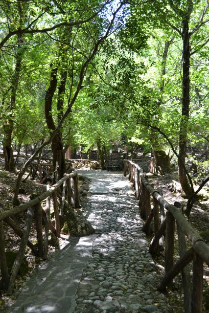 Rhodes: Filerimos Hill and Butterflies Valley-Small Group - Museum of Natural History Option