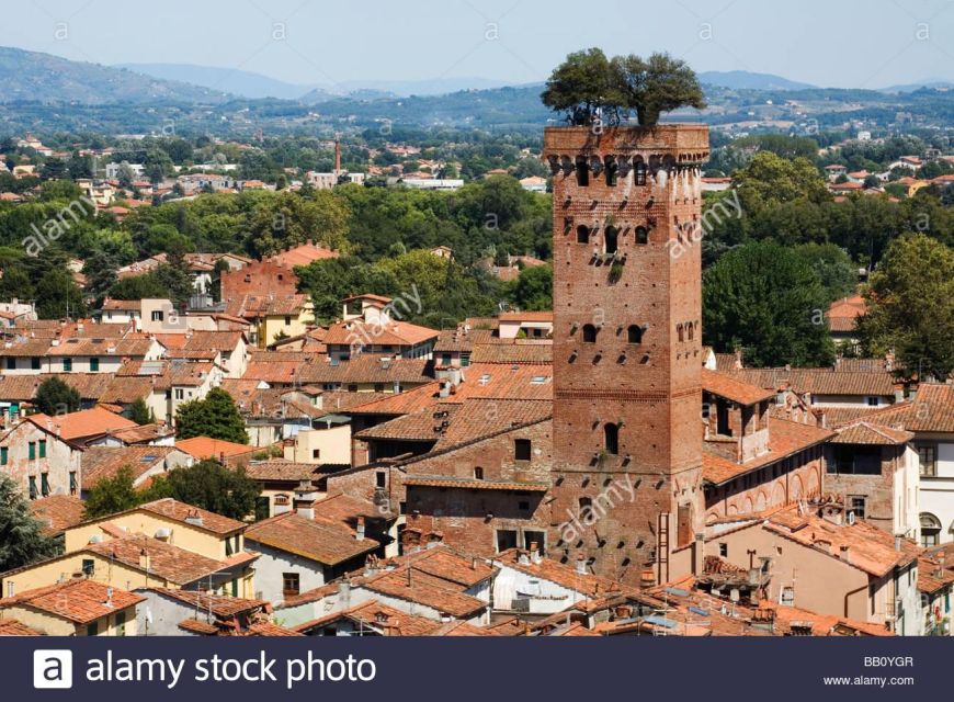 Visit Pisa & Lucca With Lunch in a Family-Run Winery - Directions