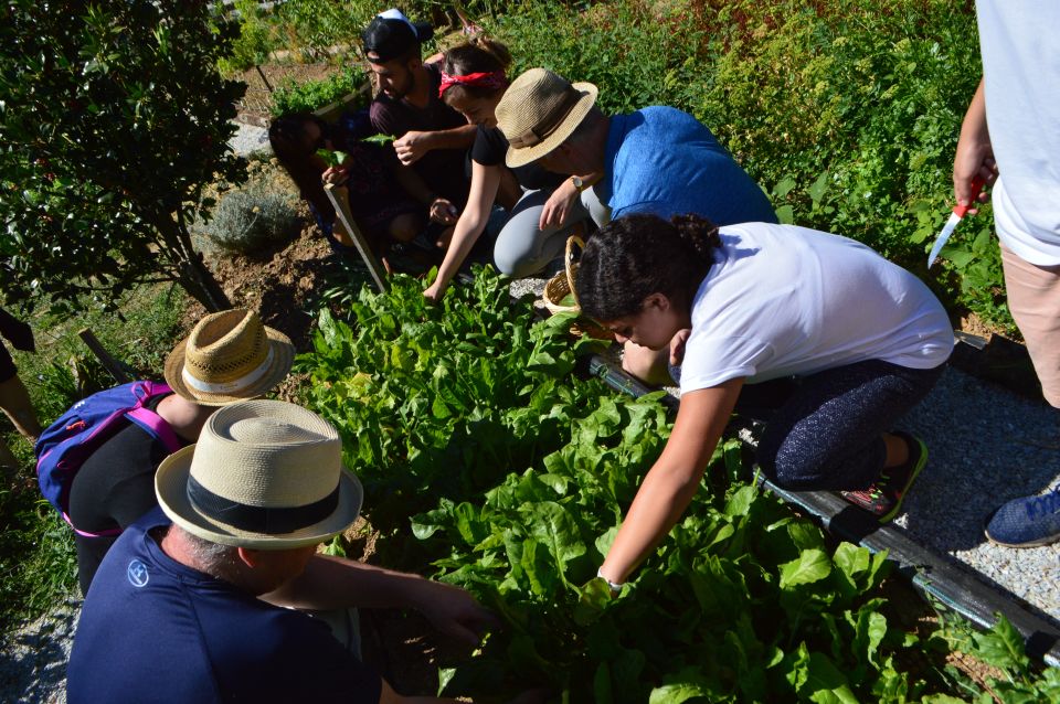 Volos: Cook Like a Local at a Greek Farm - Common questions