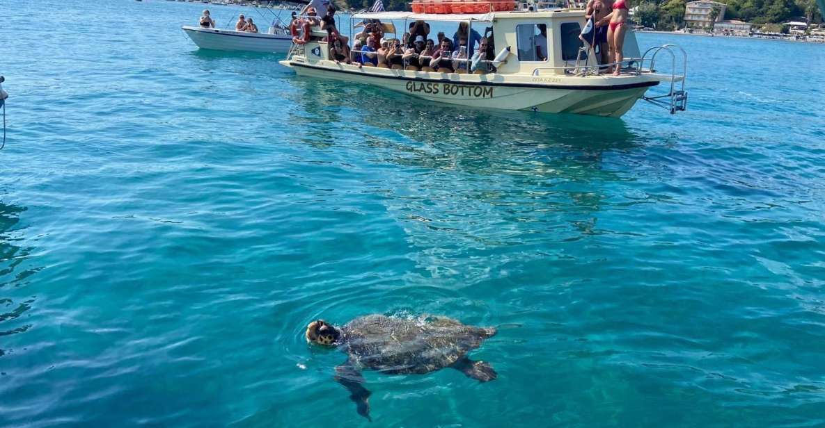 Glass Boat Cruises to Spot Turtles - Common questions