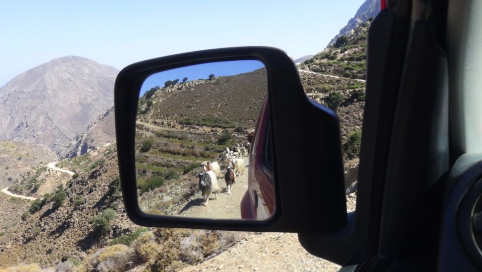 Ierapetra: Eastern Crete Nature Jeep Driving Tour - Common questions