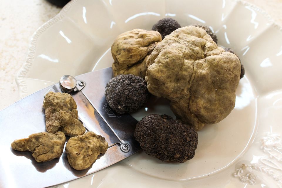 San Gimignano: Truffle Hunting With Lunch & Wine Tasting - Common questions