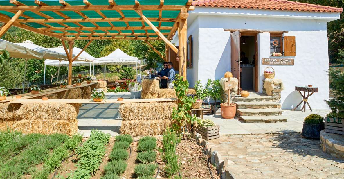 Volos: Cook Like a Local at a Greek Farm - Last Words