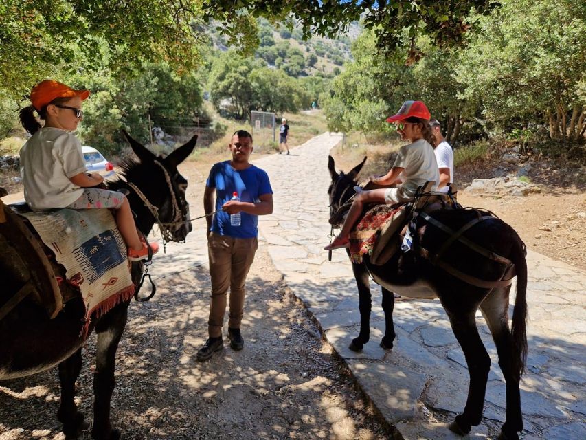 Malia: Lasithi Plateau Zeus Cave Guided Tour - Last Words