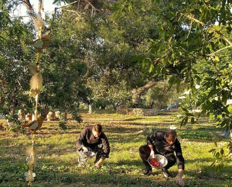 Argostoli - Farm Delights and Rustic Tastes - Farm Visit: En Kefallinia Organic Farm