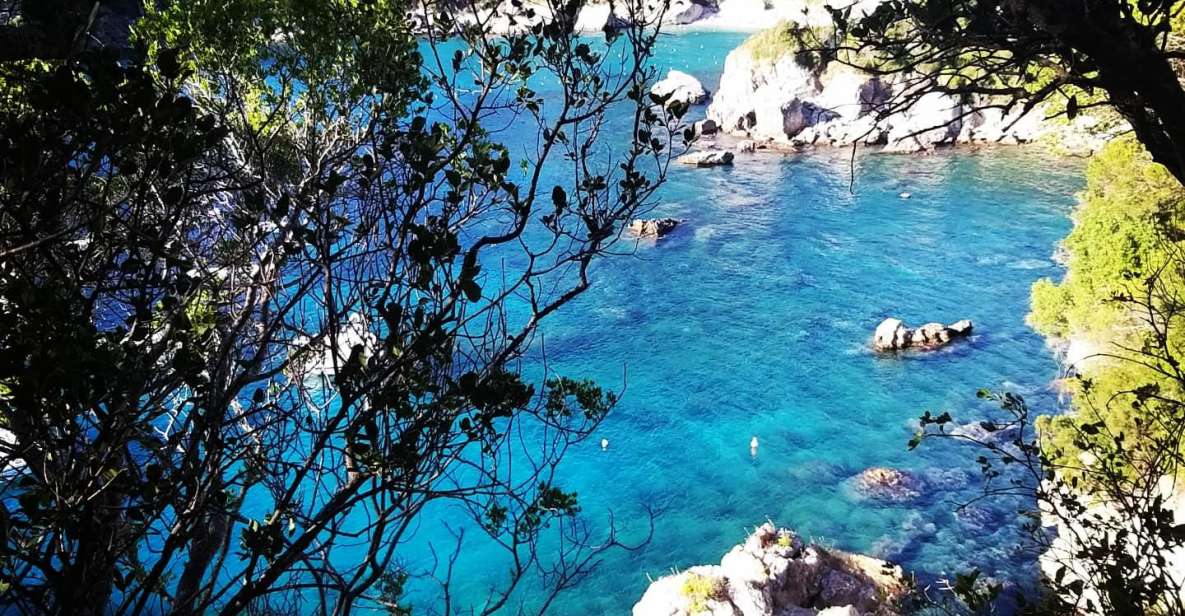 Corfu: Hiking in Olive Groves,Village,Sunset,with Swim Stop - Tour Information