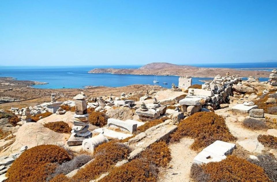 Delos and Mykonos One Day Cruise From Naxos - Activity Overview