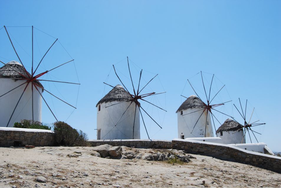 From Naxos: Delos and Mykonos Full-Day Boat Trip - Tour Details