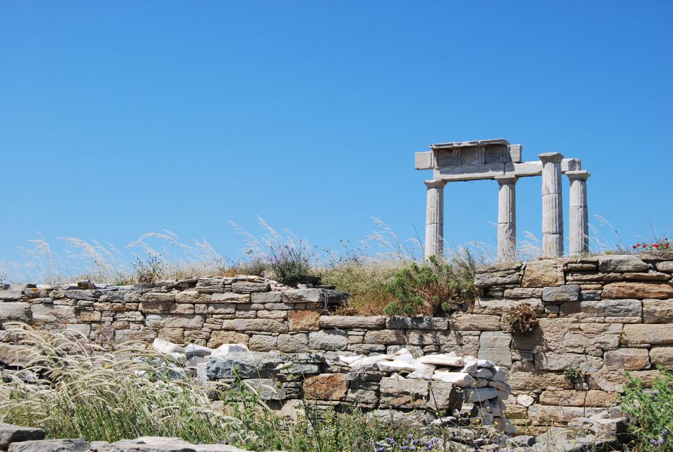 From Paros: Delos and Mykonos Full-Day Boat Trip - Trip Details