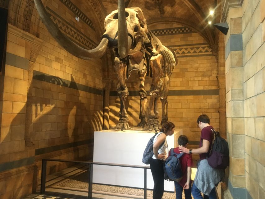 London: Natural History Museum Entry Ticket and Guided Tour - Key Points