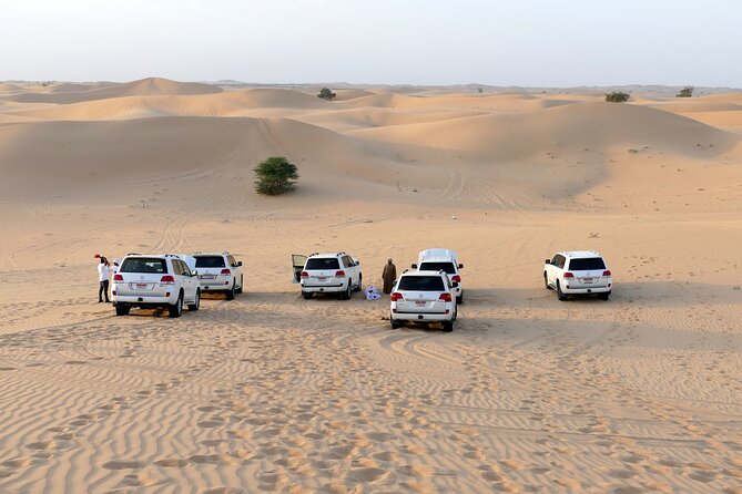 Morning Desert Safari With Quad Bike Tours - Key Points